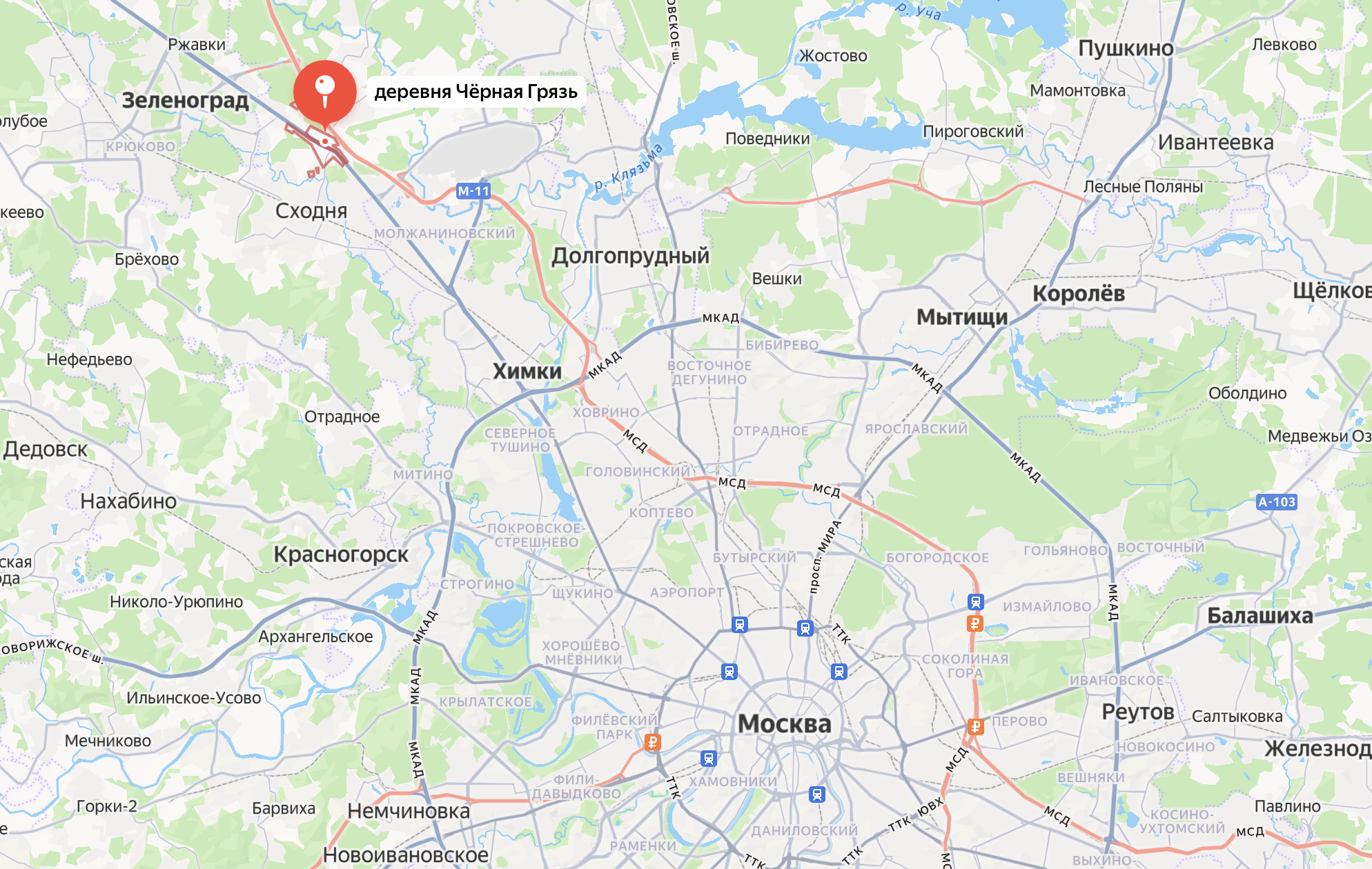 Производство Vet Marketplace переехало в Ближнее Подмосковье (Химки)