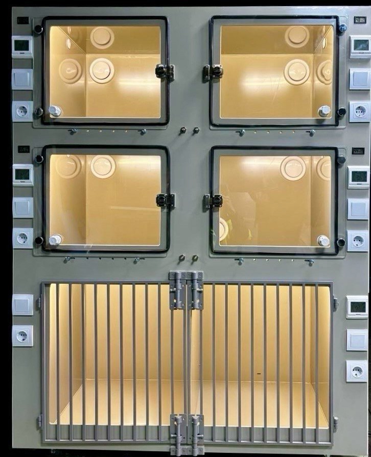 Современный стационар, где питомцы чувствуют себя спокойно и в безопасности